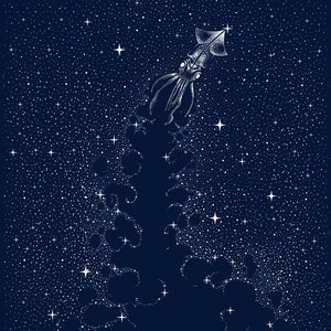 A Ascensão da Lula Cósmica de Alirıza ÇAKIR