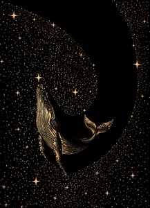 Sonho da Baleia Cósmica de Alirıza ÇAKIR