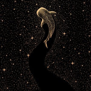 Tubarão-baleia cósmico de Alirıza ÇAKIR