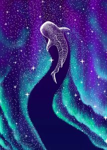 Northern Lights Tubarão-baleia de Alirıza ÇAKIR