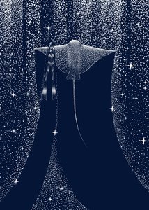 Companheiro do Raio Estrelado de Alirıza ÇAKIR