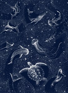 Criaturas do Oceano Estrelado de Alirıza ÇAKIR