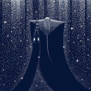 Mergulhador do Starry Ocean de Alirıza ÇAKIR