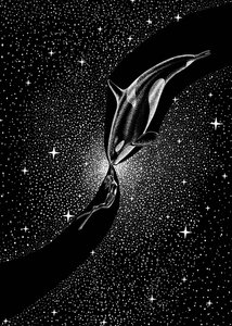 Abraço da Baleia Estrelada de Alirıza ÇAKIR