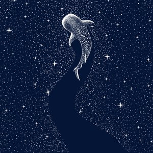 Tubarão-baleia-estrelado de Alirıza ÇAKIR