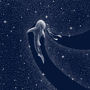 Viagem pela Galáxia do Tubarão-baleia de Alirıza ÇAKIR