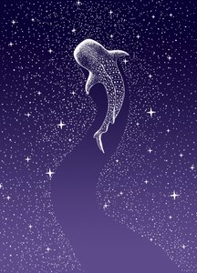 Natação com tubarões-baleia na Galáxia de Alirıza ÇAKIR