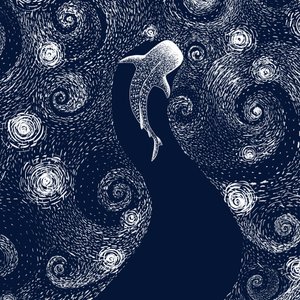 Tubarão-baleia no Oceano Estrelado de Alirıza ÇAKIR