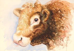 Adam o touro, 2016, aquarela