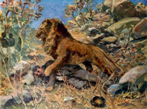 David Livingstone, Livingstone e o leão (lito colorido)