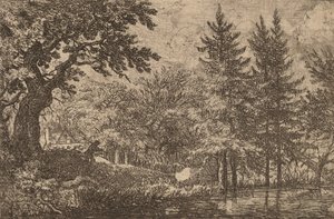 Abetos na Água, provavelmente c. 16451656. de Allart van Everdingen