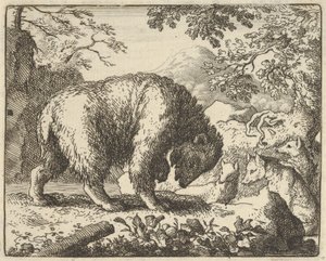Renard promete ao urso levá-lo a um lugar onde encontrará mel, 1650-75. de Allart van Everdingen
