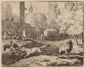 Reynard tenta furtar um galo, provavelmente c. 16451656. de Allart van Everdingen