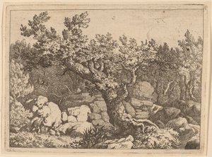 Desportista perto de uma grande árvore de Allart van Everdingen