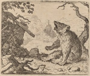 O Urso Enviado como Mensageiro, provavelmente c. 16451656. de Allart van Everdingen