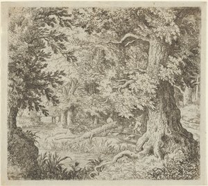 O riacho na madeira, século XVII. de Allart van Everdingen