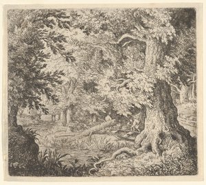 O riacho na madeira, século XVII. de Allart van Everdingen