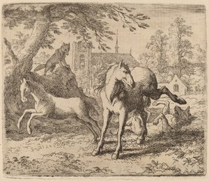A Égua e o Lobo, provavelmente c. 16451656. de Allart van Everdingen