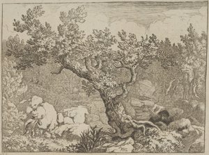 O Desportista perto da Grande Árvore, século XVII. de Allart van Everdingen