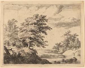 Rio sinuoso de Allart van Everdingen