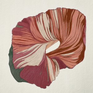 Fluxo abstrato carmesim