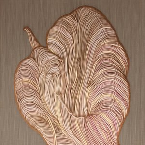 Linhas orgânicas fluidas de Alma