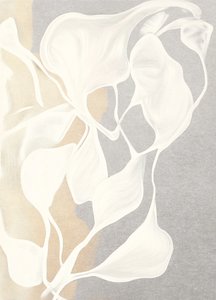 Formas Orgânicas Fluidas