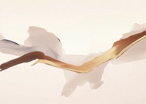 Fluxo Dourado de Alma