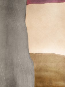 Campos de cor orgânicos de Alma