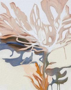 Formas fluidas orgânicas de Alma