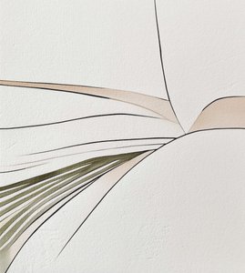 Formas fluidas orgânicas