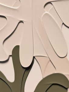 Formas orgânicas em camadas de Alma