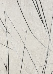 Textura de Linhas Orgânicas de Alma