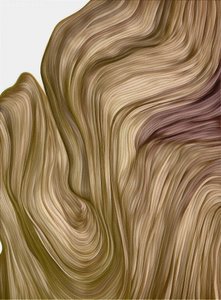 Curvas fluidas e subtis de Alma