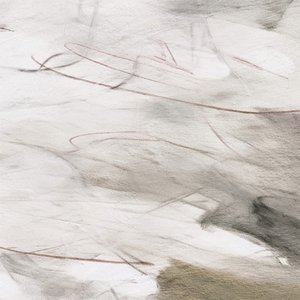 Abstrato em tons de cinza de Alma