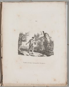 Arte da Litografia: Transferência de uma Gravura em Madeira, Placa VI
