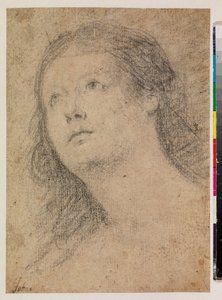 Cabeça de uma mulher a olhar para cima (recto) de Alonso Miguel de Tovar