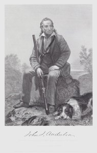 John James Audubon (gravura) de Alonzo (after) Chappel