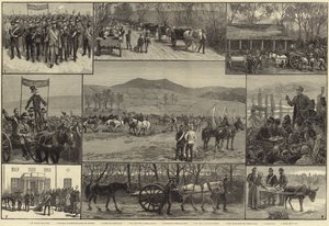 O estado da Irlanda