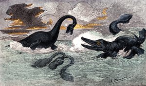 Período Lias (Jurássico Inferior): Plesiossauro e Ictiossauro, criação natural e seres vivos (de Jules Rengade) Desenho de A. Demarle. 1885