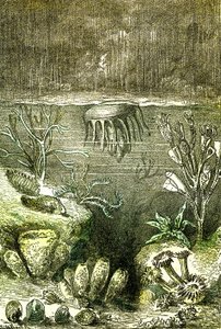Pré-história-Terras e Mares: O início do período Siluriano (J. Rengade. Desenho de Demarle. 1885 de Alphonse Demarle