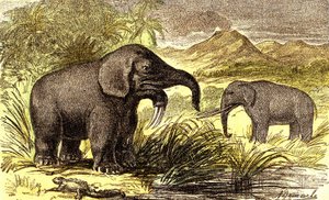 Pré-história - Período Miocénico: Da direita para a esquerda: o Dinotherum e o Mastodonte. Criação natural e seres vivos. Desenho de A. Demarle. 1885
