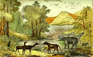 Pré-história - Período Eocénico: Da direita para a esquerda: Paloeotherium, Anoplotherium, Xiphodonts e as aves Tantalus. Criação natural e seres vivos. Desenho de A. Demarle. 1885