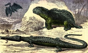 Pré-história - Período Jurássico: O Teleosaur e o Hyleosaur. O Pterodáctilo lá em cima. A criação natural e os seres vivos. Desenho de A. Demarle. 1885