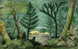 Pré-história, período do carvão: Marecagem e perfuração do período carbonífero (J. Rrengade) de Alphonse Demarle