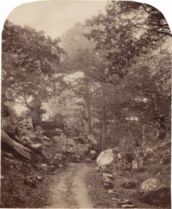 Fontainebleau, c. 1860s (foto) de Alphonse Francois Jeanrenaud