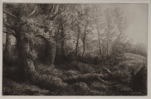 Um estudo da floresta de Alphonse Legros