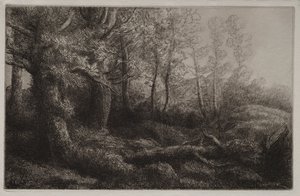 Um estudo da floresta. de Alphonse Legros