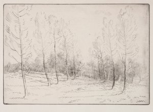 Avenida dos Choupos de Alphonse Legros