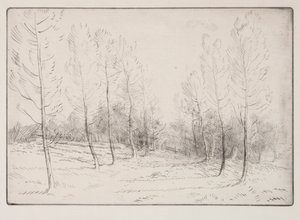 Avenida dos álamos. de Alphonse Legros